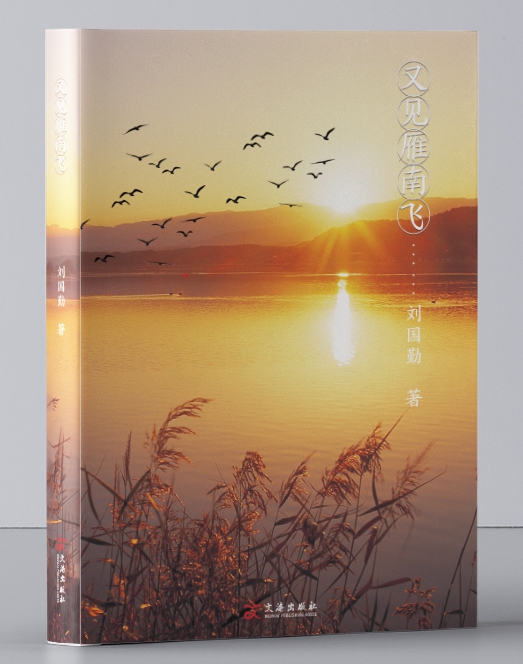 《又见雁南飞》 刘国勤